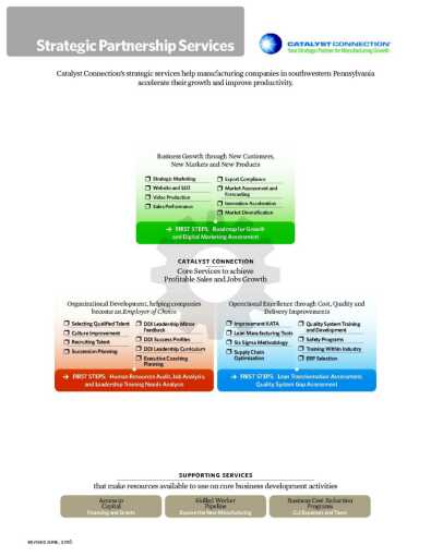 Strategic Partnerships PDF Cover